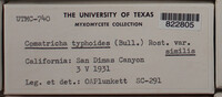 Image Associated With the Occurence